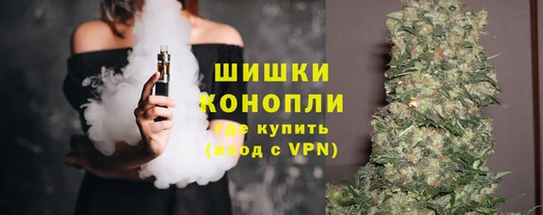 гашик Богородск