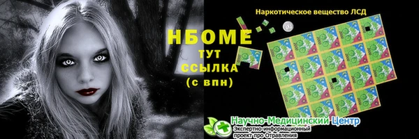 гашик Богородск