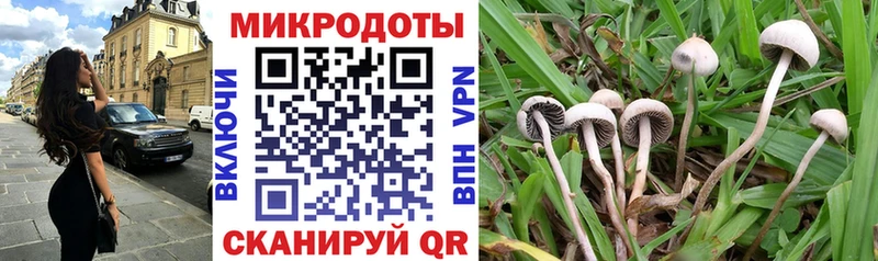 Псилоцибиновые грибы Psilocybine cubensis  Купить закладки  Бугульма 